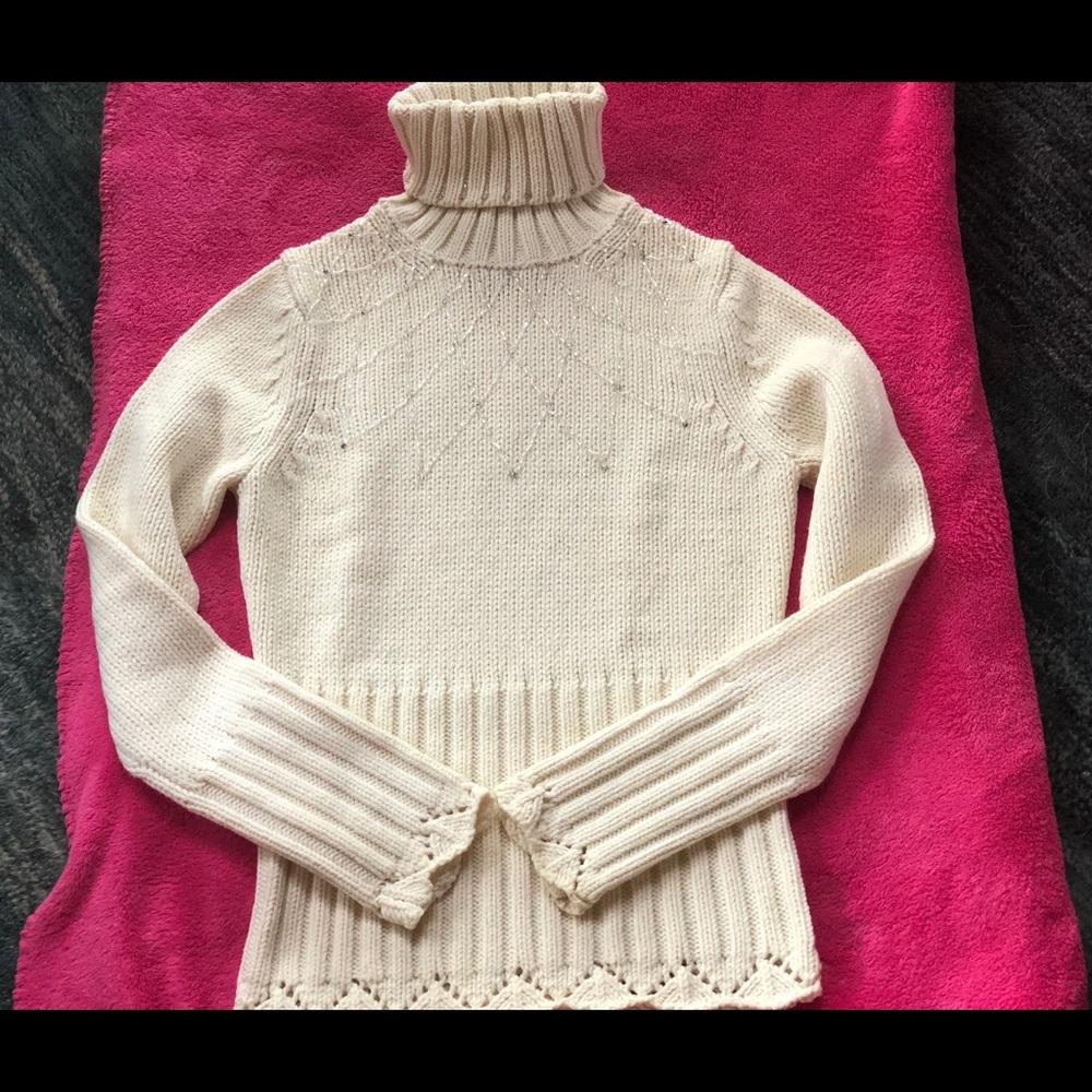 The Limited Heavy, excellent ,sweater x small